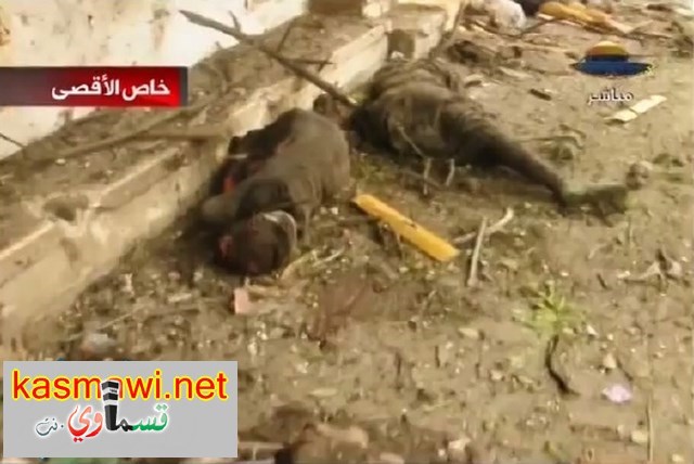 عاجل : 90 شهيدًا ومئات الجرحى حصيلة مذبحة الشجاعية وأبو مازن يعلن الحداد ثلاثة ايام